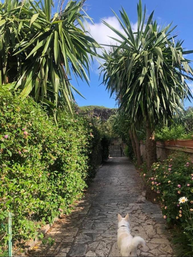 Puravida 2 Διαμέρισμα Άντζιο Εξωτερικό φωτογραφία